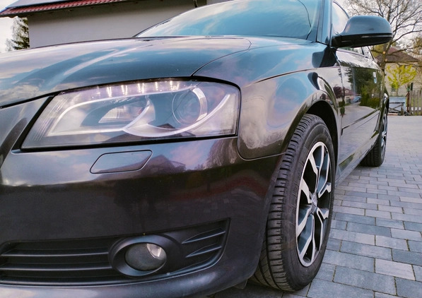 Audi A3 cena 16900 przebieg: 320000, rok produkcji 2008 z Karczew małe 466